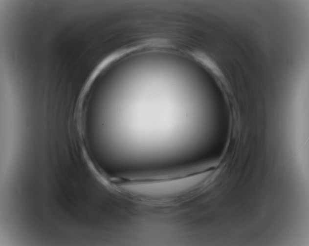 X0000085311342200703302014