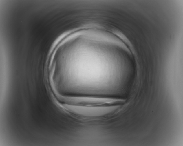 X0000085311344200703302014