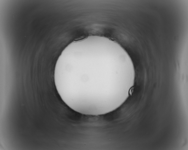 X0000085311345200703302014