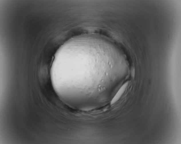 X0000085311347200703302014