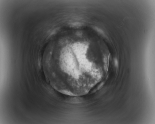 X0000085311348200703302014