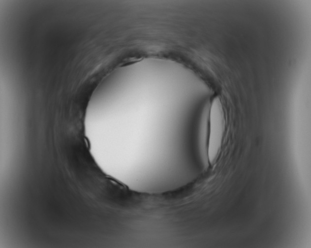 X0000085311349200703302014