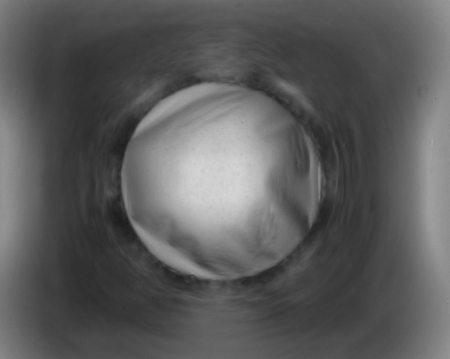 X0000085311350200703302014