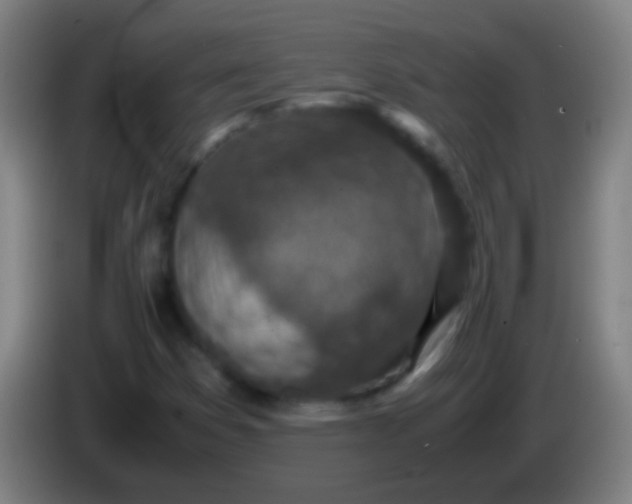 X0000085311353200703302013