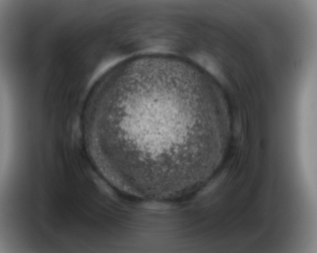 X0000085311356200703302013