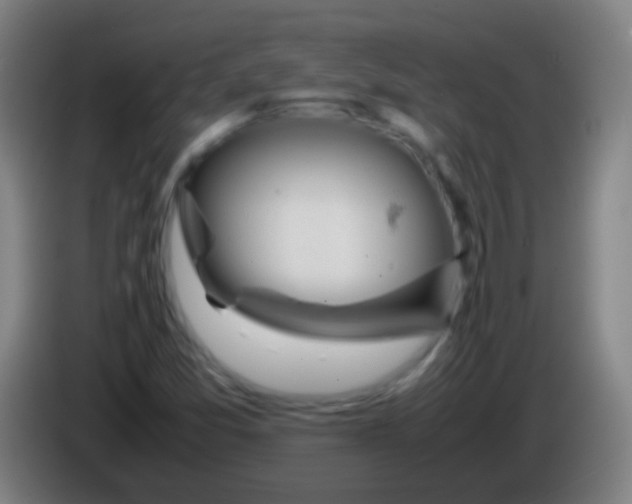 X0000085311357200703302013