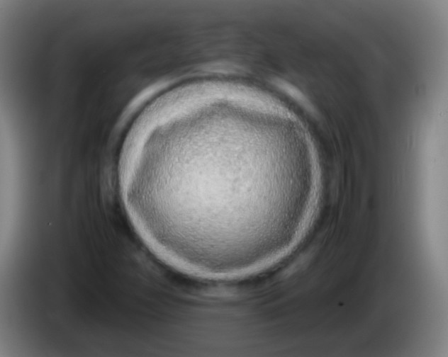 X0000085311358200703302013