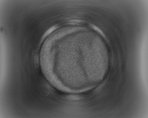 X0000085311362200703302013