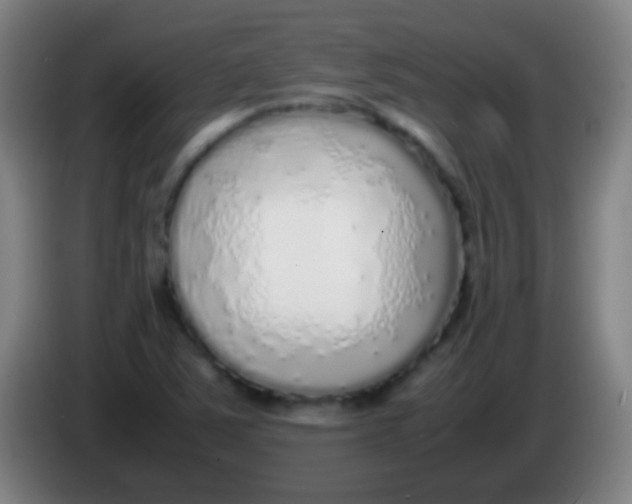 X0000085311363200703302013