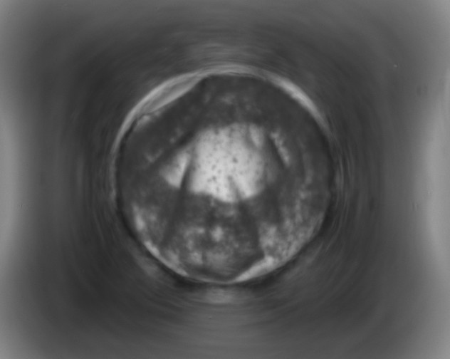 X0000085311364200703302013