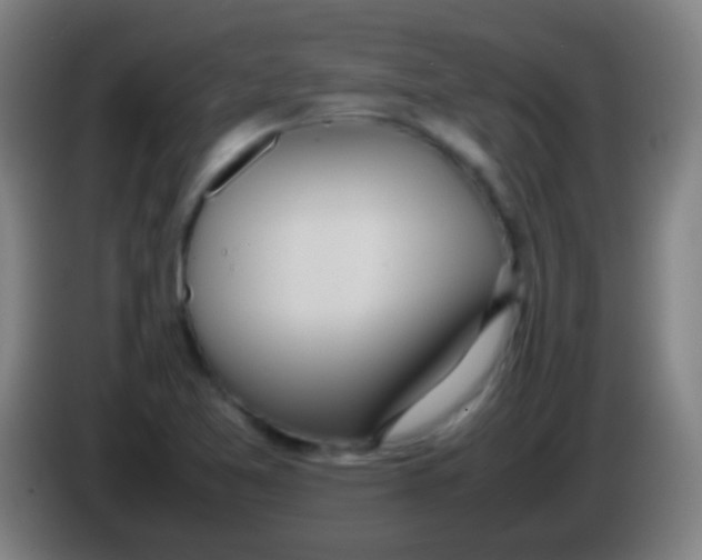 X0000085311365200703302013