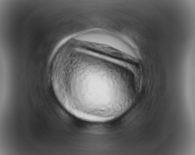 X0000085311367200703302013