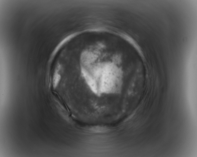 X0000085311368200703302013