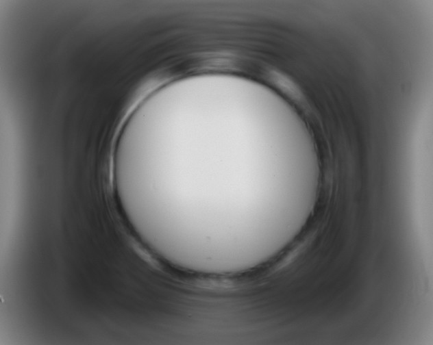 X0000085311370200703302013