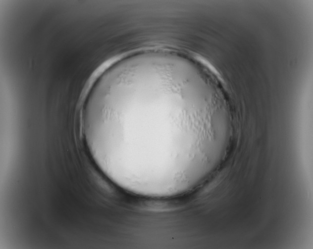 X0000085311371200703302013