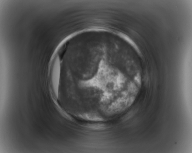 X0000085311372200703302013