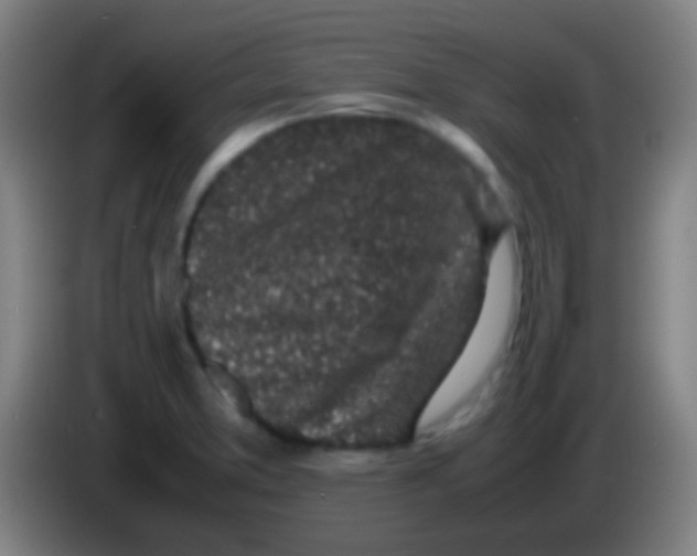 X0000085311373200703302013