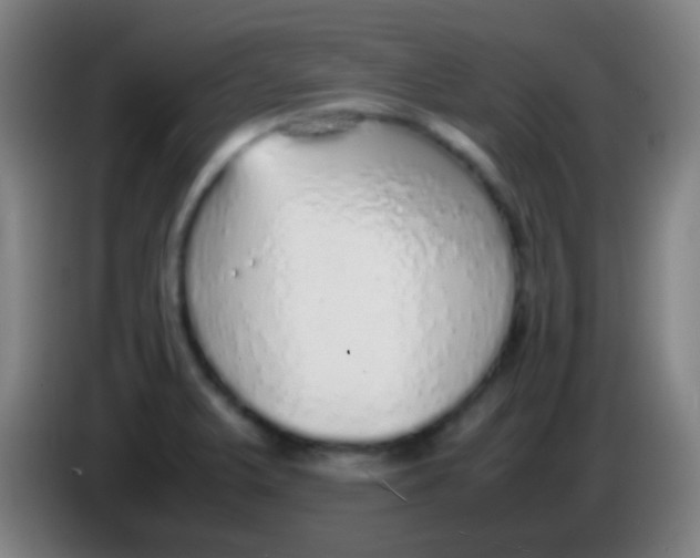 X0000085311375200703302013