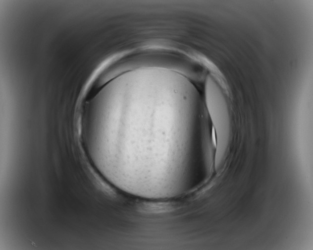 X0000085311376200703302013