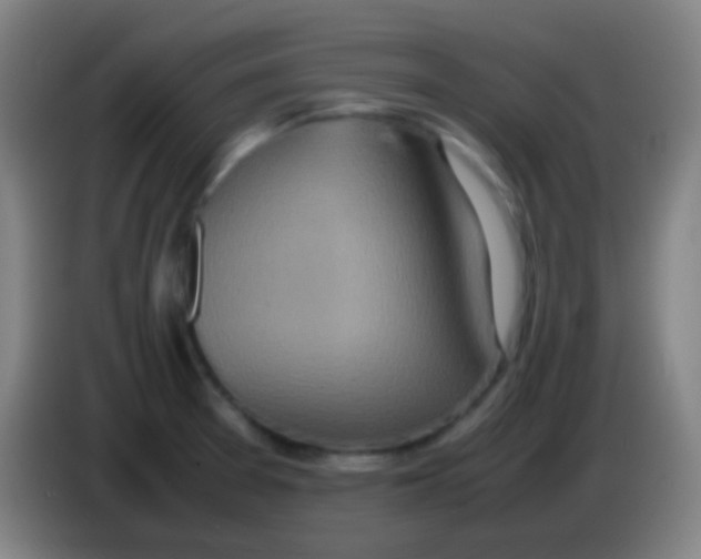 X0000085311377200703302013