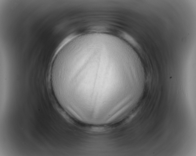 X0000085311378200703302013