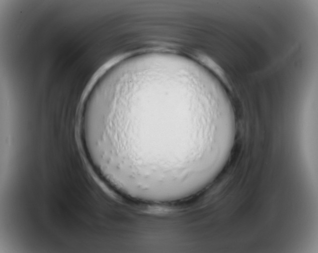 X0000085311379200703302013