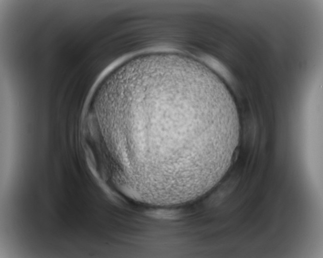 X0000085311380200703302013