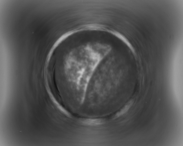 X0000085311381200703302013