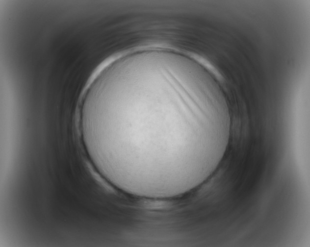 X0000085311382200703302013