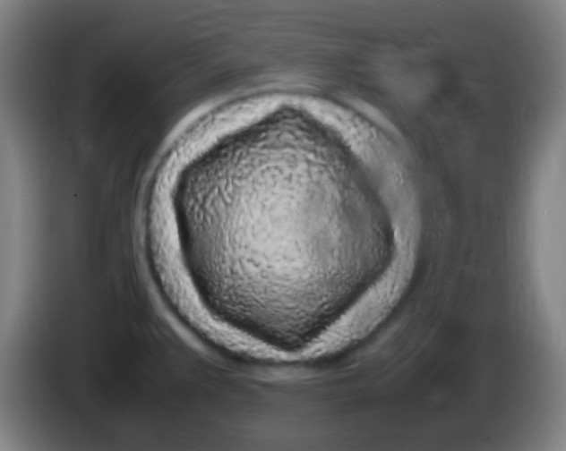 X0000085311383200703302013