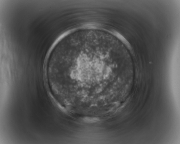 X0000085311384200703302013