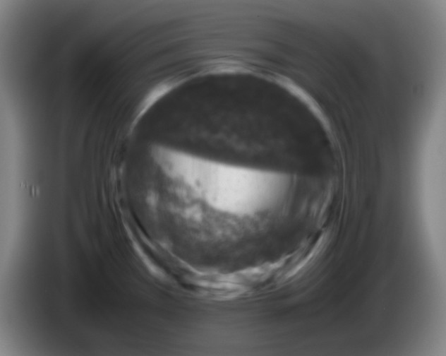 X0000085311385200703302013