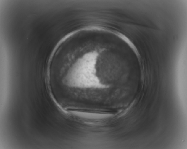 X0000085311388200703302013