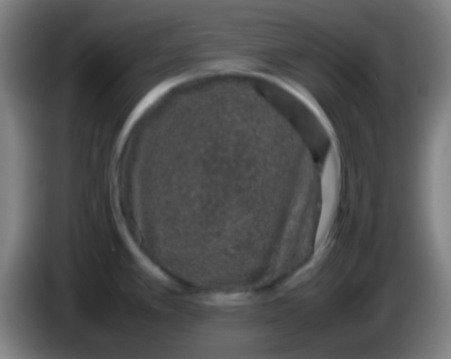 X0000085311389200703302013