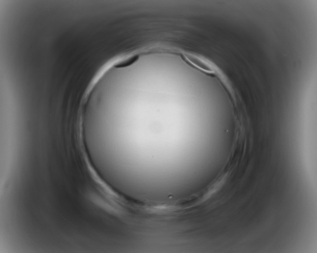 X0000085311390200703302013