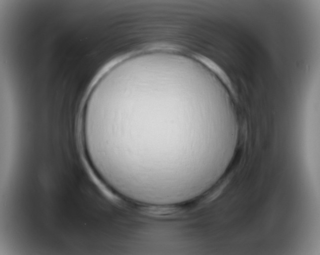 X0000085311391200703302013