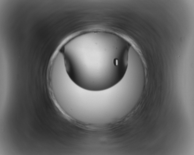 X0000085311392200703302013