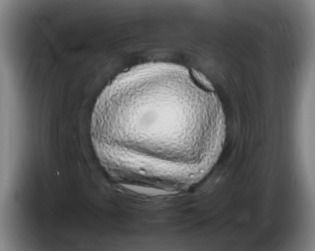 X0000085311393200703302012