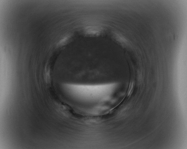 X0000085311394200703302012