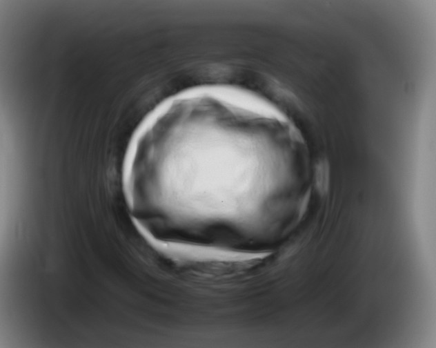 X0000085311395200703302012