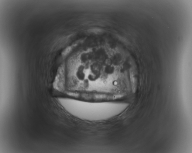 X0000085311397200703302012