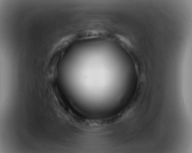 X0000085311398200703302012