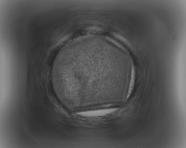 X0000085311399200703302012