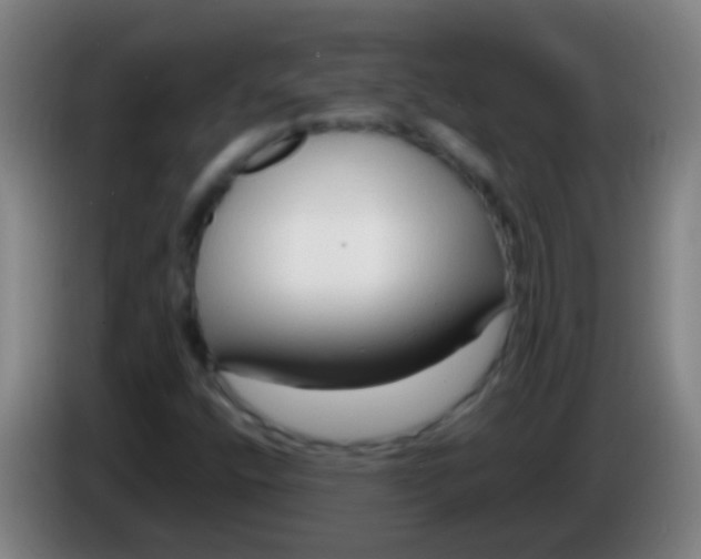 X0000085311400200703302012