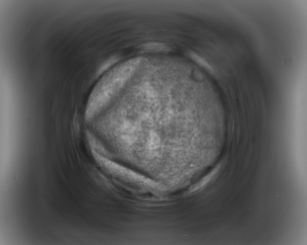 X0000085311401200703302012