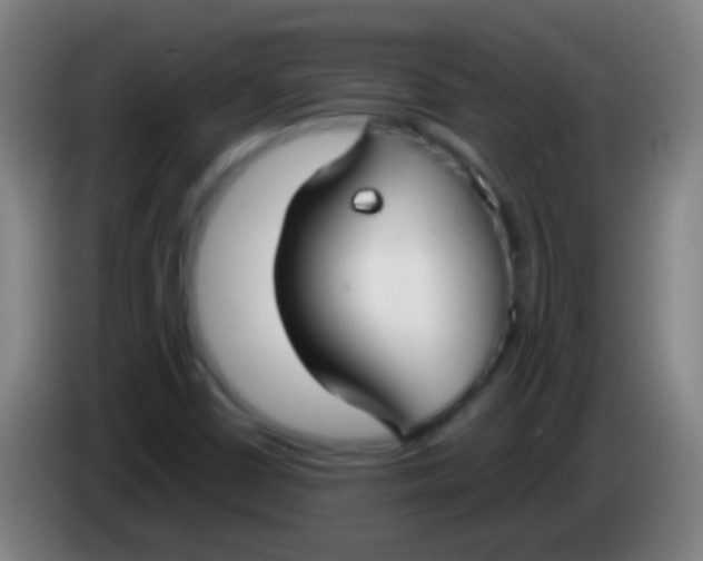 X0000085311402200703302012