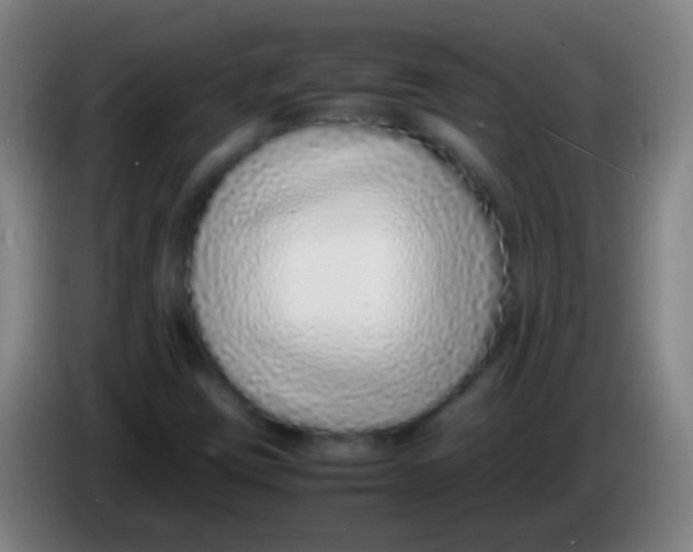 X0000085311403200703302012