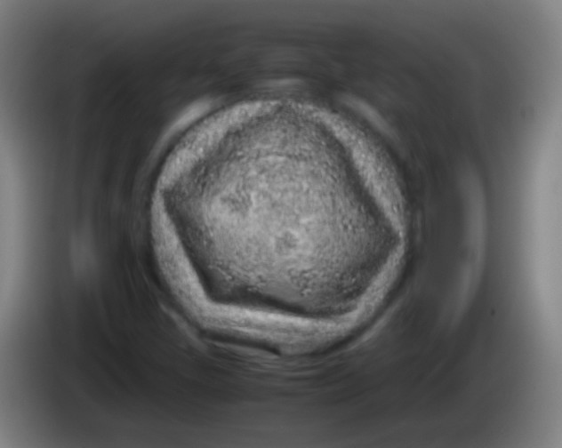 X0000085311405200703302012