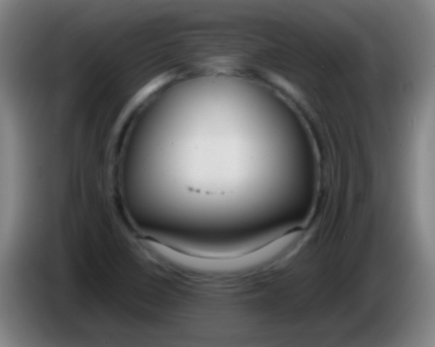 X0000085311410200703302012