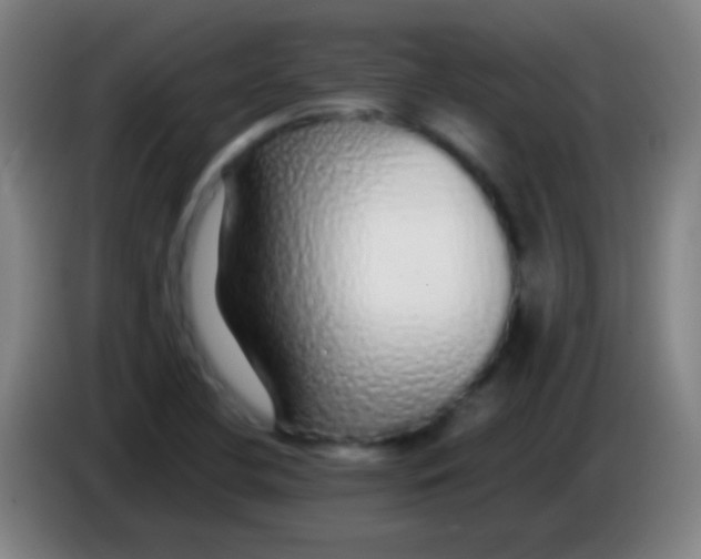 X0000085311412200703302013